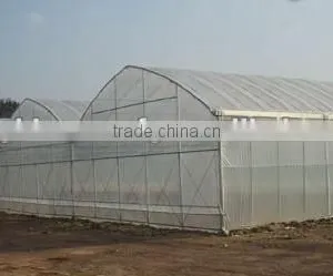 Vegetable Plastic Film Low Cost Greenhouse for Sale thumbnail-1