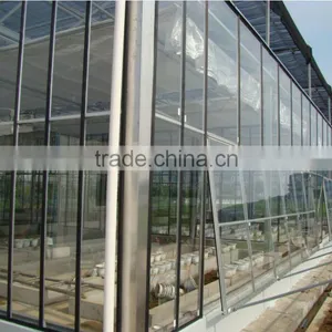 XINHE Easy Assembled Glass Greenhouse Galvanized Steel Tube Cucumber Greenhouse thumbnail-1