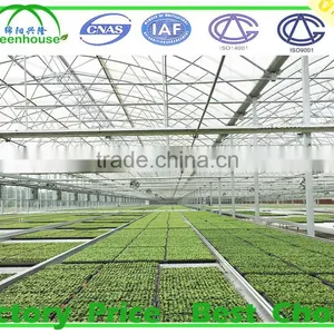 Galvanized Metal Steel Frame Material Greenhouse thumbnail-3