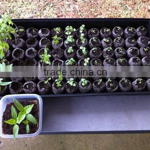 Quality First 21,32, 50, 72, 98, 105, 128 150 162 200 288 Cells Plant Nursery Germination Trays for Greenhouse thumbnail-3