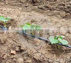 16mm/20mm Drip Irrigation Pipe Drip Pipe Drip Inline Pipe thumbnail-6
