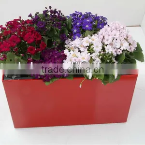 New Design Self-watering PP Rectangle Planter thumbnail-1