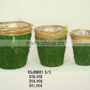 Moss Flower Pot SN248 thumbnail-1