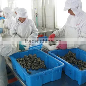 Cooked V-packed Baby Clam thumbnail-2