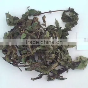Mint thumbnail-1