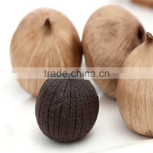 100% Pure Green Snake Food Solo Black Garlic thumbnail-3