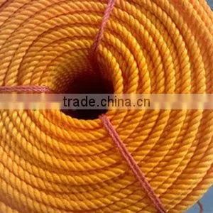 We Supply 3 Trand PP Rope thumbnail-3
