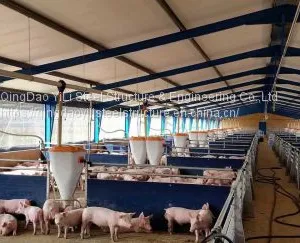 Low Cost Pig Farm House Building Construction Professional Design for Pig House thumbnail-1