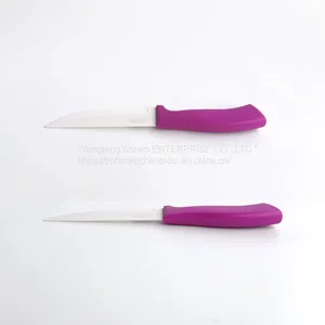 4.5 Inch Ceramic Steak Knife thumbnail-1