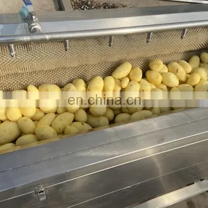 Industrial Potato Peeling Machine Potato Peeling and Cutting Washing Machine Potato Peeling Machinery thumbnail-5