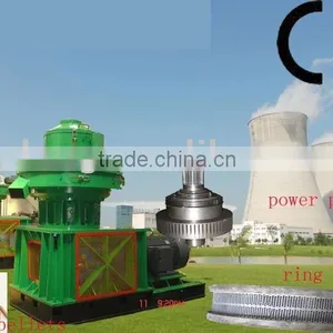 CE Palm Pellet Mill thumbnail-1