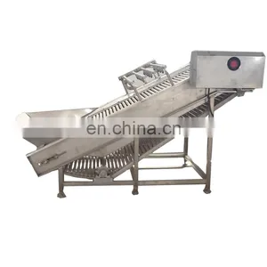 High Quality Dried Apple Slices Processing And Production Line Machinery And Equipment thumbnail-4
