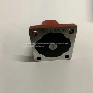 3054609 thumbnail-5