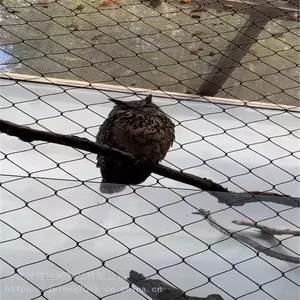 Zoo-Grade Aviary Netting With Anti-Entanglement Design for Large Birds thumbnail-1