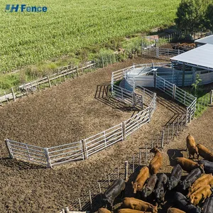Modern Hot Dip Galvanized Iron Horse Corral Panels 6 Feet High Rodent Proof Powder Coated Pressure Timbers Fence Hardware thumbnail-4