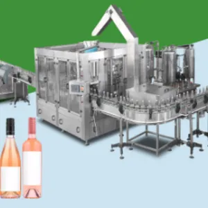Genyond Automatic Grapes Fruit Wine Production Line Turkey Project thumbnail-5