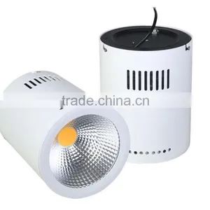 New Product 2016 20w Cob Led Surface Mounted Downlight With 5 Year Warranty thumbnail-1