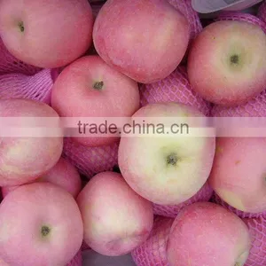 Fresh Fuji Apple Supplier thumbnail-1