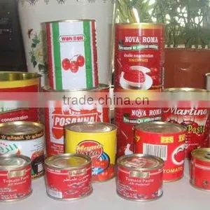 198g Cold Break Tomato Paste to Tomato Sauce and Tomato Puree thumbnail-1