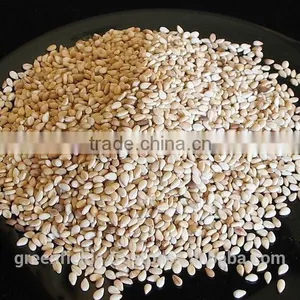 40ml Sesame Oil thumbnail-1