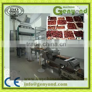 High Quality DATES Color Sorting Machine thumbnail-1