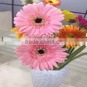 Fresh Good Quality Gerbera Cut Flower With Fresh Cut Flower thumbnail-5