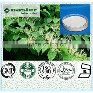 100% Natural Giant Knotweed Extract/Polygonum Cuspidatum Sieb.et thumbnail-1
