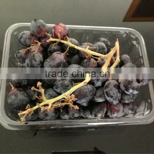 Supermarket Fruit Container thumbnail-2