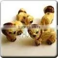 Ceramic Small Animal Shape Bead - Cute Little Lion thumbnail-1