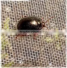 Anti Insect Mesh for Garden Greenhouse,vegetable Pest Control Web, Low Price Insect Proof Mesh thumbnail-3
