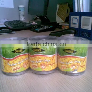 Wholesale 340g Canned Sweet Corn Made in China thumbnail-6
