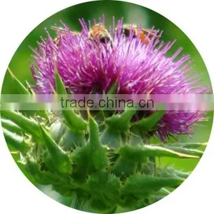 Water Soluble Organic 30%-98% Silymarin thumbnail-4