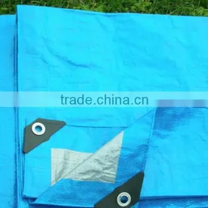 Yard Tarp for Yard Clean-up Cover pe Tarpaulin thumbnail-1