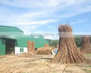 Luc Dong Construction And Trading Co., Ltd company overview - view 2 thumbnail