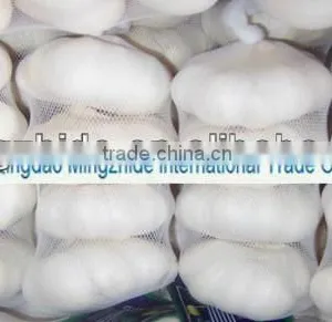 Fresh Garlic, New Crop White With Red Garlic thumbnail-2