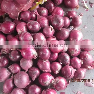 Fresh Red Onion , Red Onion Price thumbnail-1