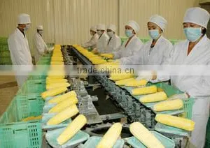 Qingdao Elites-United Foodstuff Co., Ltd. company overview - view 2 thumbnail