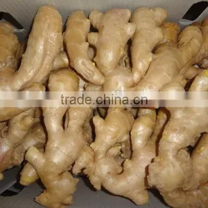 Yellow Color Fresh Ginger thumbnail-5