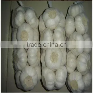 2016 New Crop Bulk Garlic With Competitive Price thumbnail-5