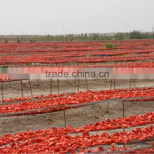 Natural Red Dried Tomato Wholesale Dehydrated thumbnail-1
