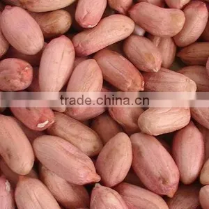 Peanut Kernels & Blanched Peanut Kernels thumbnail-1