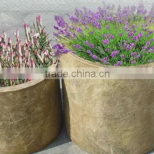 Resin Plant RSPTG-07 thumbnail-1