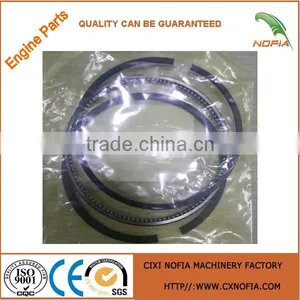 Assy Piston Ring 1G790-21092 Piston Ring Piston Ring 0.25 V2203 Piston Ring thumbnail-2