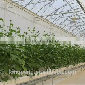High Quality Multi-span Glass Greenhouse With Hydroponic System thumbnail-2