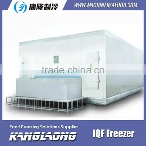Large Output How To Freeze Fresh Shrimp Machine With Good Quality thumbnail-4