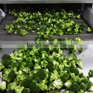 Vegetable Tunnel Freezer thumbnail-2