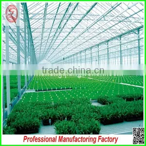 Top Quality Polycarbonate Board Agricultural Greenhouses With Muti Span thumbnail-2