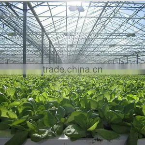China Used Greenhouse Frames for Sale thumbnail-2