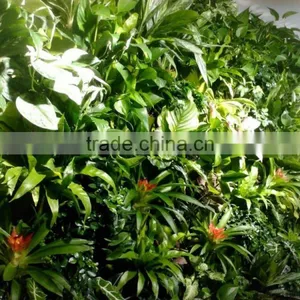 2015 Best Price Artificial Plant Wall/artificial Grass Wall, Artificial Vertical Plant for Garden thumbnail-5