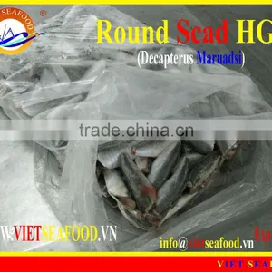 FROZEN ROUND SCAD HGT thumbnail-1